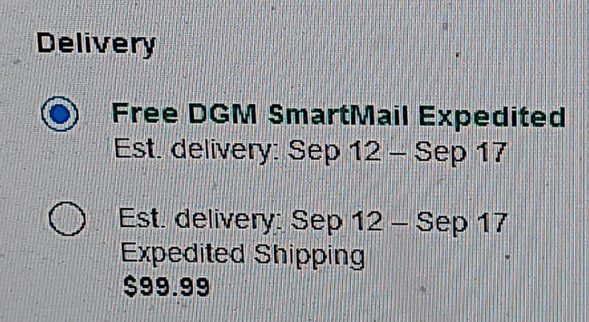 eBay Delivery Shipping Options. Top: free. Bottom: $99.99. Same estimated delivery 