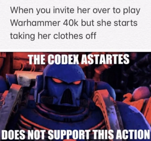 Top text says "When you invite her over to play Warhammer 40k but she starts taking her clothes off" The bottom image is a fully armored space marine ready for battle saying in  a very serious tone "The code astartes does not support this action."0