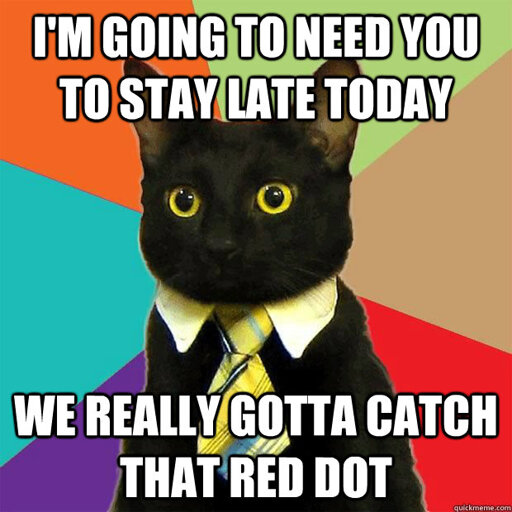 a cat has to stay late