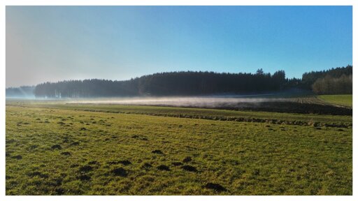 Ein weitläufiges Feld, über das Nebelschwaden gleiten.