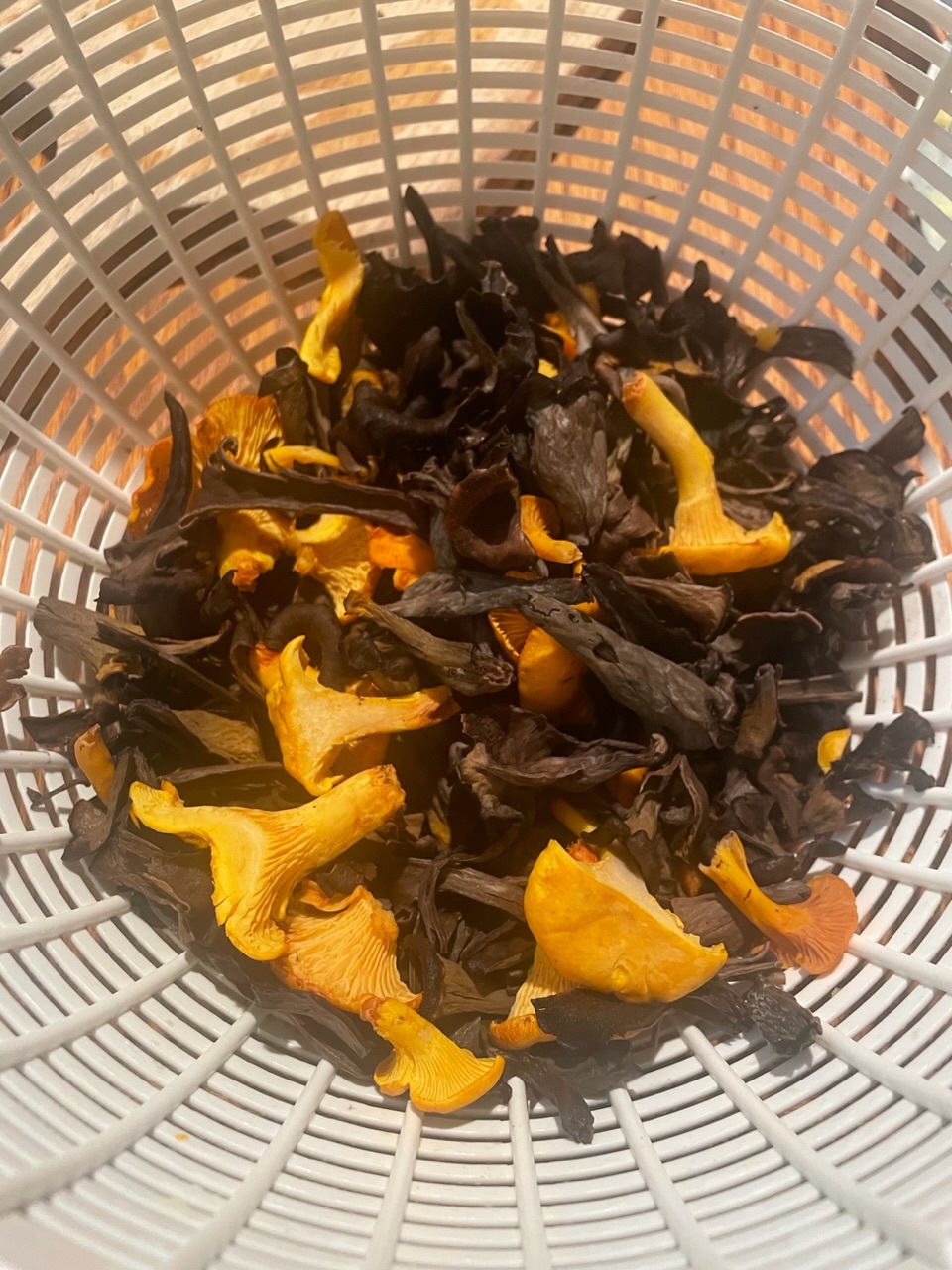 A bowl of chanterelle and black trumpet mushrooms