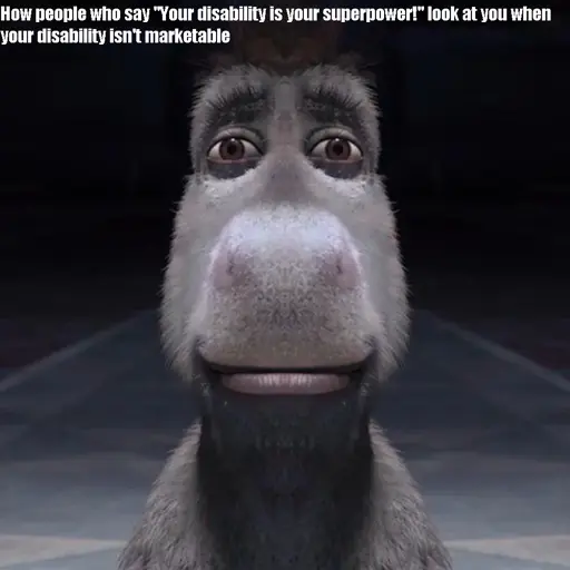 Image of donkey from the Shrek franchise facing the camera, text reads "How people who say "Your disability is your superpower!" look at you when your disability isn't marketable"