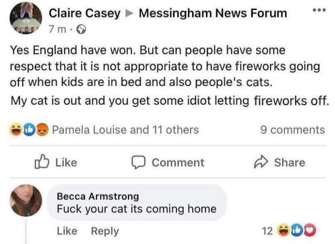 Facebook thread. Person A: "Yes England have won. But can people have some respect that is not appropriate to have fireworks going off when kids are in bed and also people's cats. My cat is out and you get some idiot letting fireworks off." Person B: "Fuck your cat its coming home"