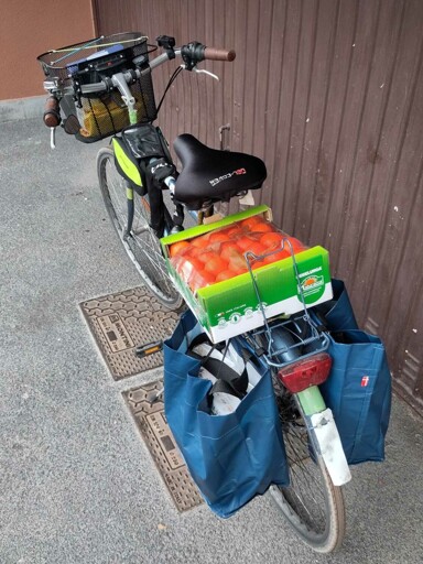 La mia bici tornando dalla spesa.

Sul portapacchi posteriore ho due borse belle piene, e una cassetta di clementine. Anche la cesta anteriore è carica