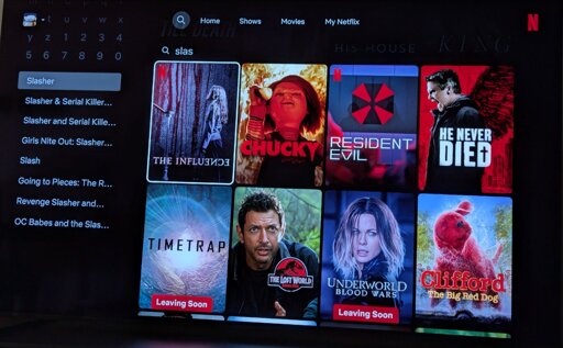 Searching for a slasher film on Netflix and all red movies are populating. The search bar is on the left. The search results are on the left. The famous slasher film, Clifford The Big Red Dog, is among the suggested titles. 