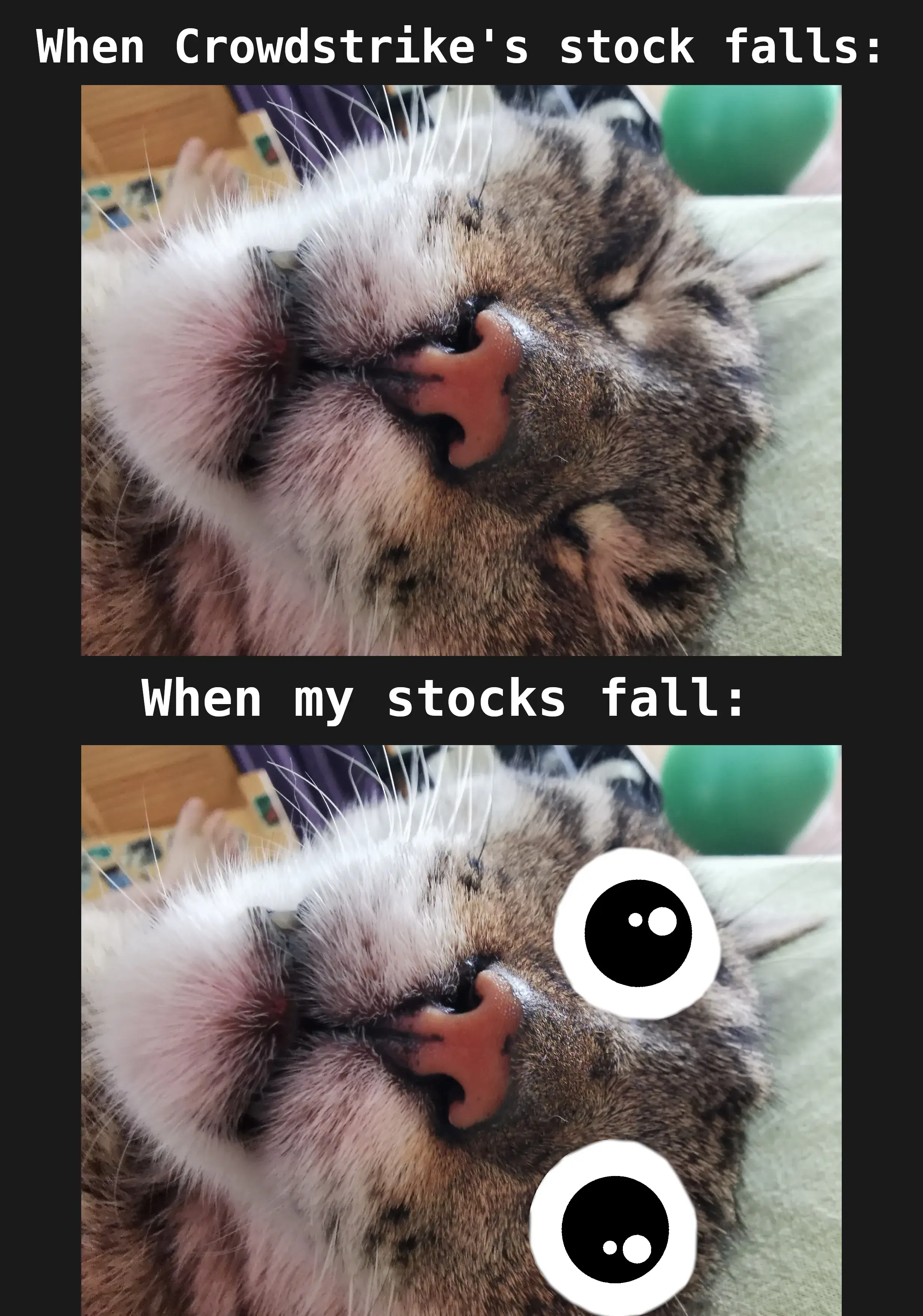 When crowdstrike's stock falls:, When my own stocks fall: